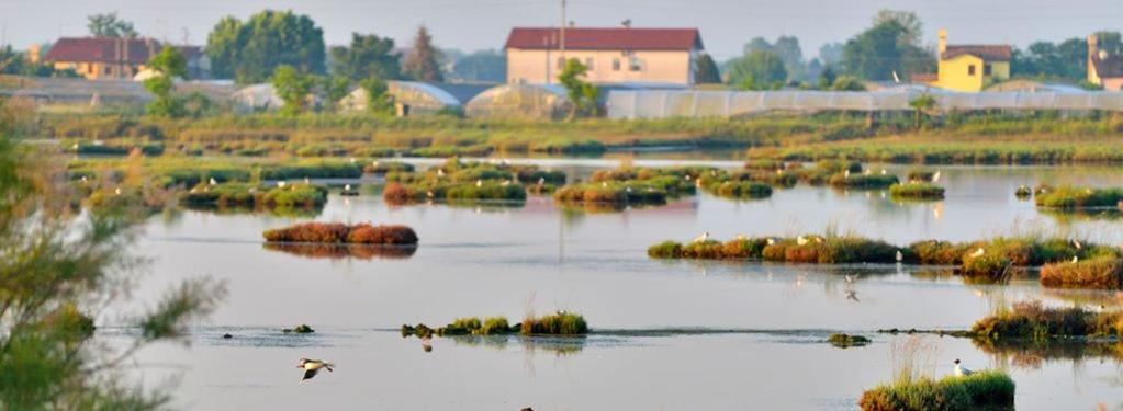 Maribeach Кавалино-Трепорти Екстериор снимка